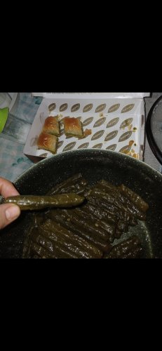 Screenshot_20250418_232418_Gallery (1).jpg