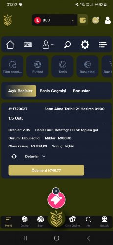 Screenshot_20250621_010218_Chrome (1).jpg