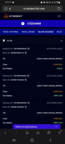 Screenshot_20251020-171740_Samsung Internet.jpg